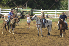 PCSC81713_1485