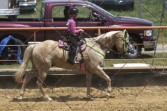 PCSChorseshow62114_IMG_1729