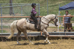 PCSChorseshow62114_IMG_1739