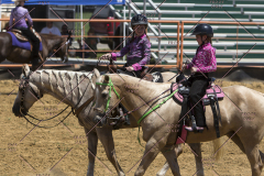 PCSChorseshow62114_IMG_1764