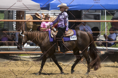 PCSChorseshow62114_IMG_1768