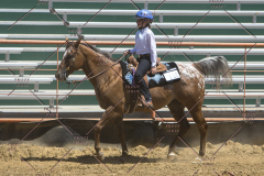 PCSChorseshow62114_IMG_1789