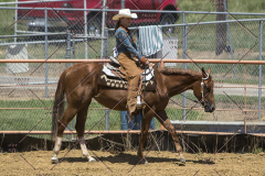 PCSChorseshow62114_IMG_1803