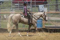 PCSChorseshow62114_IMG_1816