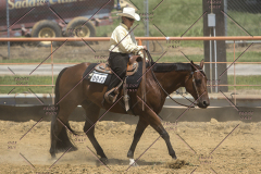 PCSChorseshow62114_IMG_1825