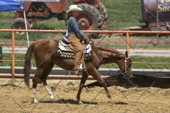 PCSChorseshow62114_IMG_1839