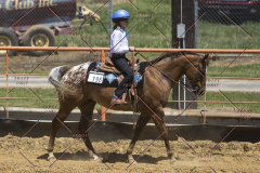 PCSChorseshow62114_IMG_1843