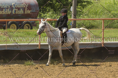 PCSC081515_2346