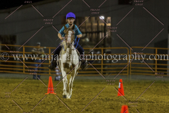 PC4HFair2015_9752_notforcopy