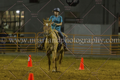 PC4HFair2015_9770_notforcopy