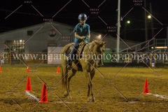 PC4HFair2015_9774_notforcopy