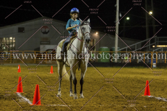PC4HFair2015_9787_notforcopy