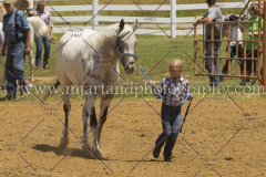 PCSC061816_4980