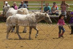 PCSC061816_5067
