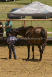 PCSC061816_5077