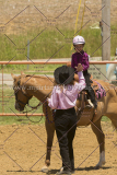 PCSC061816_5595