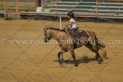 PCSC061717_1179