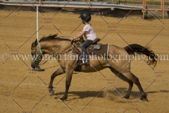 PCSC061717_1194