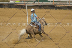 PCSC061717_1204
