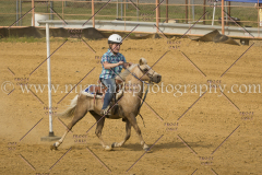 PCSC061717_1209