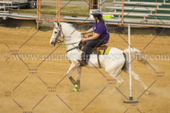 PCSC061717_1238