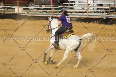 PCSC061717_1240