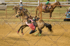 PCSC061717_1255