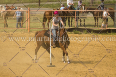 PCSC061717_1290
