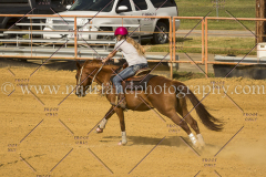 PCSC061717_1299