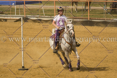 PCSC061717_1314