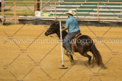 PCSC061717_1443