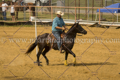 PCSC061717_1449