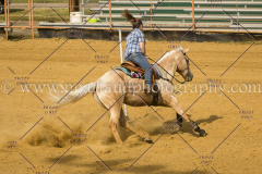 PCSC061717_1500