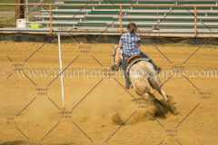 PCSC061717_1510