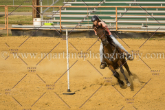 PCSC061717_1543