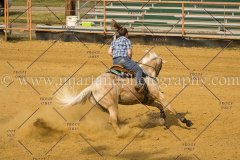 PCSC061717_1558