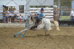 PCSC091617_9186