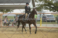 PCSC091617_7457
