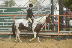 PCSC091617_7461