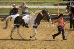 PCSC091617_6452