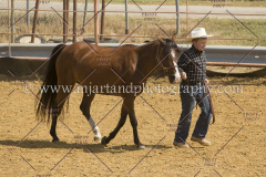 PCSC091617_6498