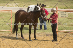 PCSC091617_6515