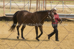 PCSC091617_6519