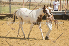 PCSC091617_6533
