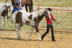 PCSC091617_6540