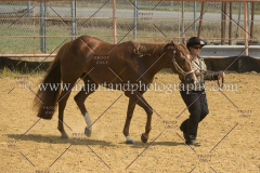PCSC091617_6565