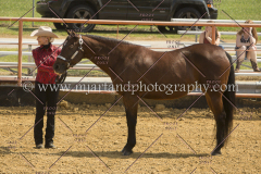 PCSC091617_6570