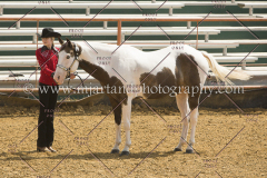 PCSC091617_6573