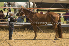 PCSC091617_6578