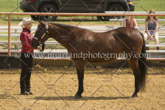 PCSC091617_6590